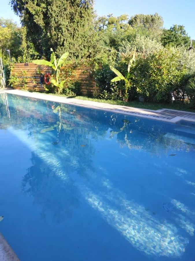 Villa Paradiso Del Garda Vista-Verde Bardolino Dış mekan fotoğraf